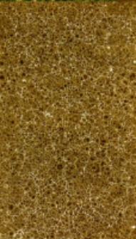 Die Verwandtschaft der germanischen und slavischen Sprachen mit einander, und zugleich mit der griechischen und r&ouml;mischen