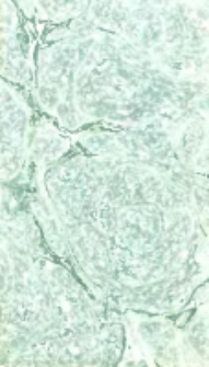 L'ami des enfans. T.7