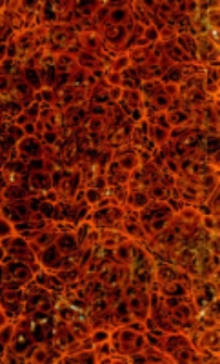 Allgemeines Deutsches Kochbuch f&uuml;r jede Haushaltung: oder Lehrbuch der Koch- und Backkunst ... nebst einem nach Jahreszeiten eingerichteten K&uuml;chenzettelbuche