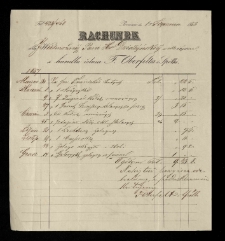 Rachunki różne Tytusa i Celestyny Działyńskich vol. 1