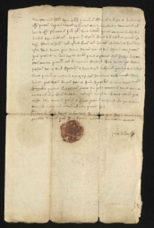 Akta procesowe między Janem i Mikołajem Gniewoszami a Ciołkami o gł&oacute;wszczyznę po poddanych, skargi poddanych o zranienia, zajęcie bydła itd. (1591-1629)