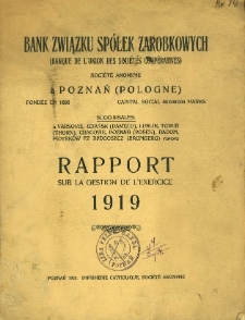 Rapport sur la gestion de l'exercice 1919.