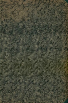 Sprawozdanie rachunkowe za czas od 1 grudnia 1932 do 31 grudnia 1933 r.