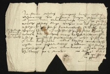 Akta Jana Wojciecha Dąbrowskiego kasztelana wieluńskiego (1572-1605)