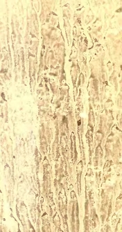 Histoire de Jean-Marie