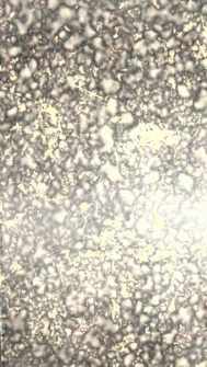 Evangelische Polemik gegen die r&ouml;mische Kirche