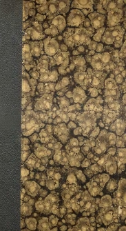 Galerie des enfants c&eacute;l&eacute;bres ou panth&eacute;on de la jeunesse