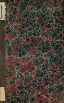 Przedburza polityczna