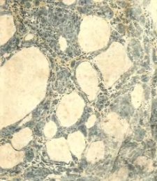 Le Nouvel astrologue parisien, ou le Mathieu Laensbergh r&eacute;form&eacute;, &agrave; l'usage des habitans de la France [calendrier]. 1822