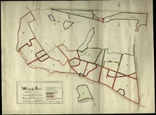 Wirtschafts-Karte von den Waldungen des Vorwerkes Chmielnikowo. Herrschaft Storchnest