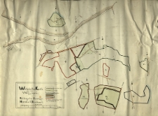 Wirtschafts - Karte von den Waldungen des Rittergutes Świerczyn, Herschaft Storchnest