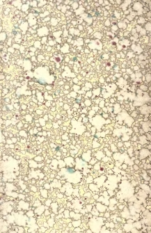 Pok&oacute;j i rozbrojenie : krytyczne zestawienie odpowiedzi nadesłanych z wszelkich cywilizowanych kraj&oacute;w w sprawie szwedzkiego konkursu na zapytanie: Jak można w najwłaściwszy spos&oacute;b wywołać silny międzynarodowy prąd przeciwko panującemu militaryzmowi?