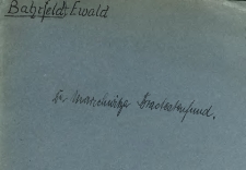 Der Marschwitzer Bracteatenfund