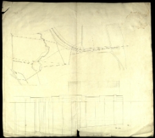 [Plan arboretum w K&oacute;rniku]