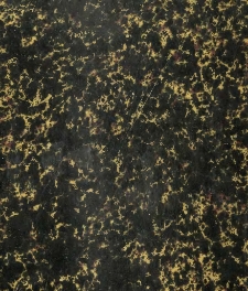 Vita di s. Giovanni Battista De Rossi, canonico della basilica collegiata di S. Maria in Cosmedin, sacerdote della Pia Unione di S. Galla