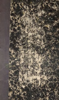 La femme catholique faisant suite aux femmes de l'&eacute;vangile. T. 1