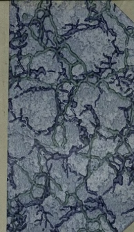 Grammaire abregée de la langue polonaise, consistant en tableaux, règles et exemples