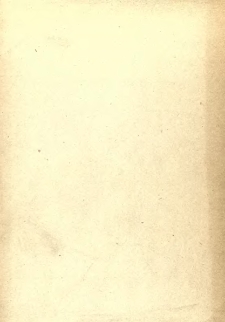 Zum ewigen Eise : eine Sommerfahrt ins n&ouml;rdliche Polarmeer und Begegnung mit Andr&eacute;e und Nansen