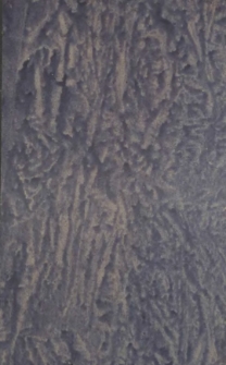 Eos. Organ Polskiego Towarzystwa Filologicznego. 1948-1949 R.43 zeszyt 1-2