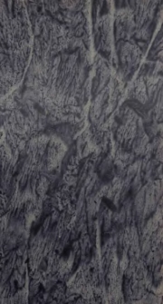 Vie politique, litt&eacute;raire et priv&eacute; de Charles-James Fox, membre du Parlement d'Angleterre et secr&eacute;taire d'&eacute;tat