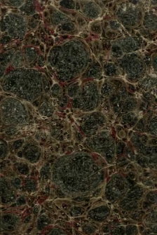 Offenes Sendschreiben an den Landtags-Deputirten in Ostpreu&szlig;en, Verfasser des Aufrufs "An alle wahrhaft Liberalen" in No. 236 der K&ouml;nigsberger Zeitung