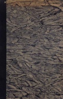 Informacyja o aktach Uniwersytetu Bolońskiego