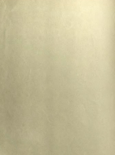 Wizytki francuskie. 1893