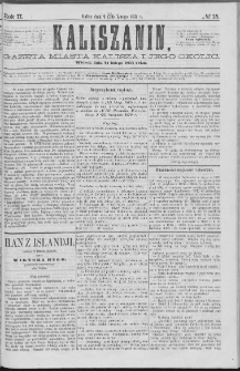 Kaliszanin : gazeta miasta Kalisza i jego okolic