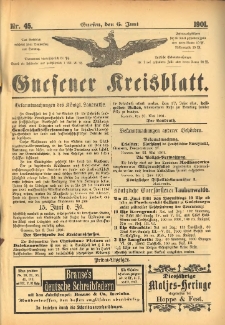 Gnesener Kreisblatt 1901.06.06 Nr45