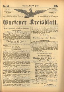 Gnesener Kreisblatt 1901.06.09 Nr46