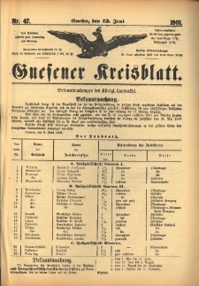 Gnesener Kreisblatt 1901.06.13 Nr47