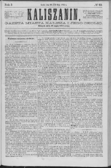 Kaliszanin : gazeta miasta Kalisza i jego okolic