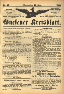 Gnesener Kreisblatt 1903.06.11 Nr47