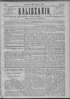 Kaliszanin : gazeta miasta Kalisza i jego okolic