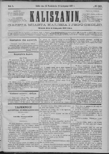 Kaliszanin : gazeta miasta Kalisza i jego okolic