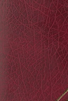 Biblioteczka dla dziatwy polskiej. T.1