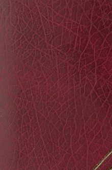 Biblioteczka dla dziatwy polskiej. T.4