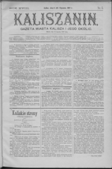 Kaliszanin : gazeta miasta Kalisza i jego okolic