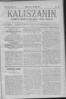 Kaliszanin : gazeta miasta Kalisza i jego okolic