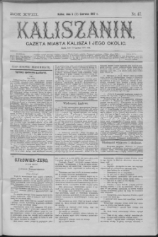 Kaliszanin : gazeta miasta Kalisza i jego okolic