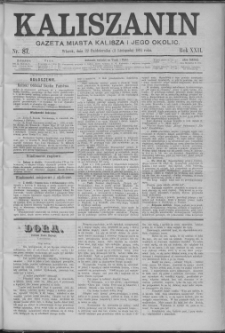 Kaliszanin : gazeta miasta Kalisza i jego okolic