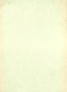 Przyczynek do znajomości solid&oacute;w Bolesława Chrobrego