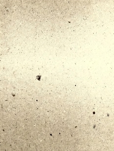 Poradnik dla Sp&oacute;łek, organ Związku Sp&oacute;łek Zarobkowych i Gospodarczych na Poznańskie i Prusy Zachodnie. 1906.12.01 Nr12