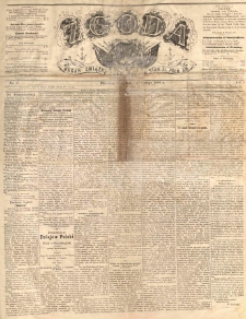 Zgoda : organ Związku Narodowego Polskiego w Stanach Zjednoczonych P&oacute;łnocnej Ameryki. 1884.02.13 R.2 No.49