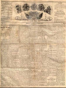 Zgoda : organ Związku Narodowego Polskiego w Stanach Zjednoczonych P&oacute;łnocnej Ameryki. 1884.06.04 R.3 No.13