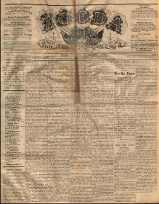 Zgoda : organ Związku Narodowego Polskiego w Stanach Zjednoczonych P&oacute;łnocnej Ameryki. 1884.11.19 R.3 No.37