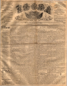 Zgoda : organ Związku Narodowego Polskiego w Stanach Zjednoczonych Północnej Ameryki. 1885.08.05 R.4 No.22