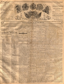 Zgoda : organ Związku Narodowego Polskiego w Stanach Zjednoczonych P&oacute;łnocnej Ameryki. 1886.07.28 R.5 No.20