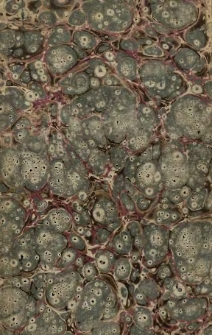 Nowa nauka pisania i czytania wraz z nauką ortografii i gramatyki