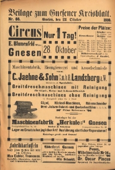 Beilage zum Gnesener Kreisblatt 1910.10.23 Nr85